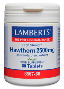 Espino Blanco 2500 mg como 500 mg de extracto Lamberts
