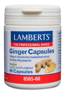 Jengibre 14.400 mg como extracto de la raíz Lamberts